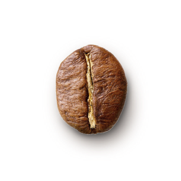 composition 100% robuste
