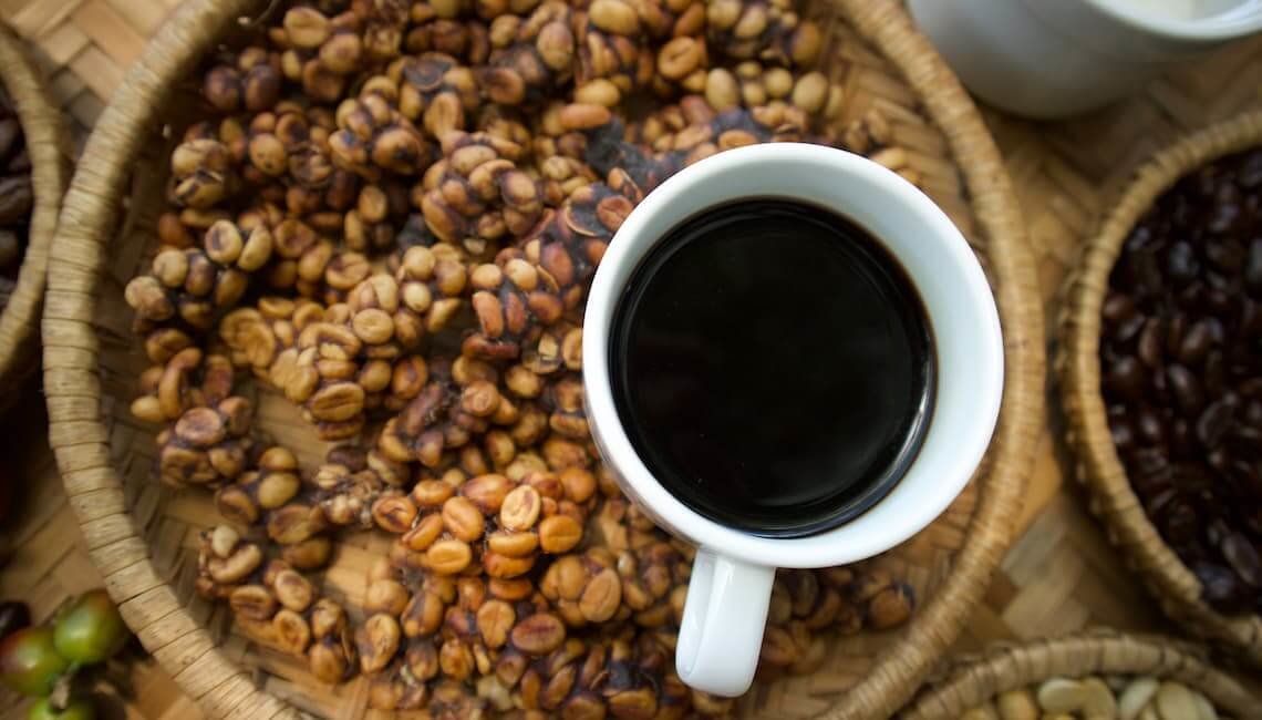 Kopi Luwak, el café más caro del mundo Kopi Luwak, el café más caro del mundo
